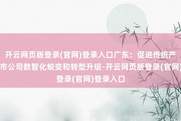 开云网页版登录(官网)登录入口广东：促进传统产业鸿沟上市公司数智化蜕变和转型升级-开云网页版登录(官网)登录入口
