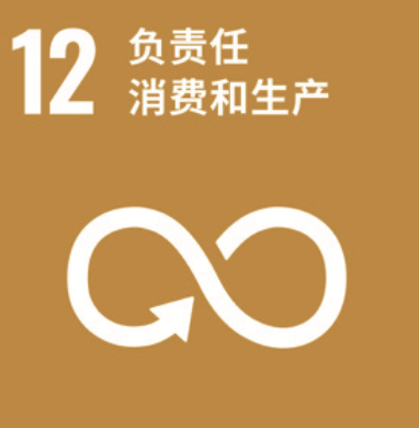 SDG 12 ���������ĺ�����